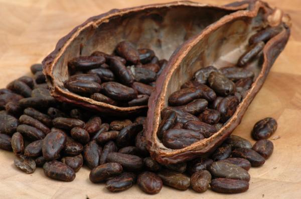 cacau